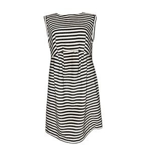 Liz Lange Maternity Sleeveless Stripe Dress